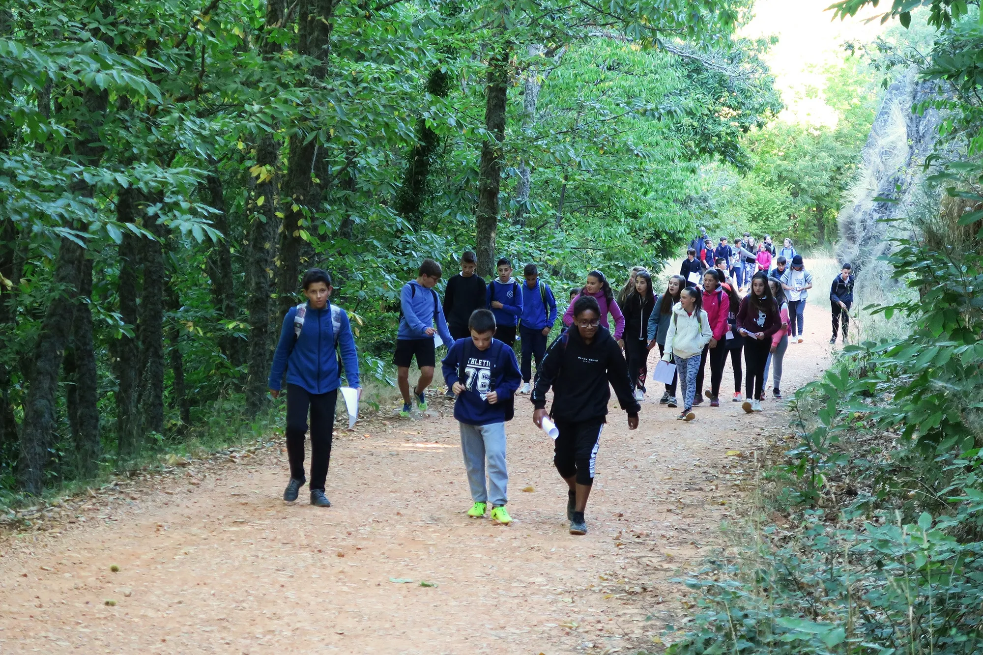 Foto 2 - Alumnos del IES Leonardo Da Vinci realizan una excursi&oacute;n al bosque de la Honfr&iacute;a y Pico Cervero