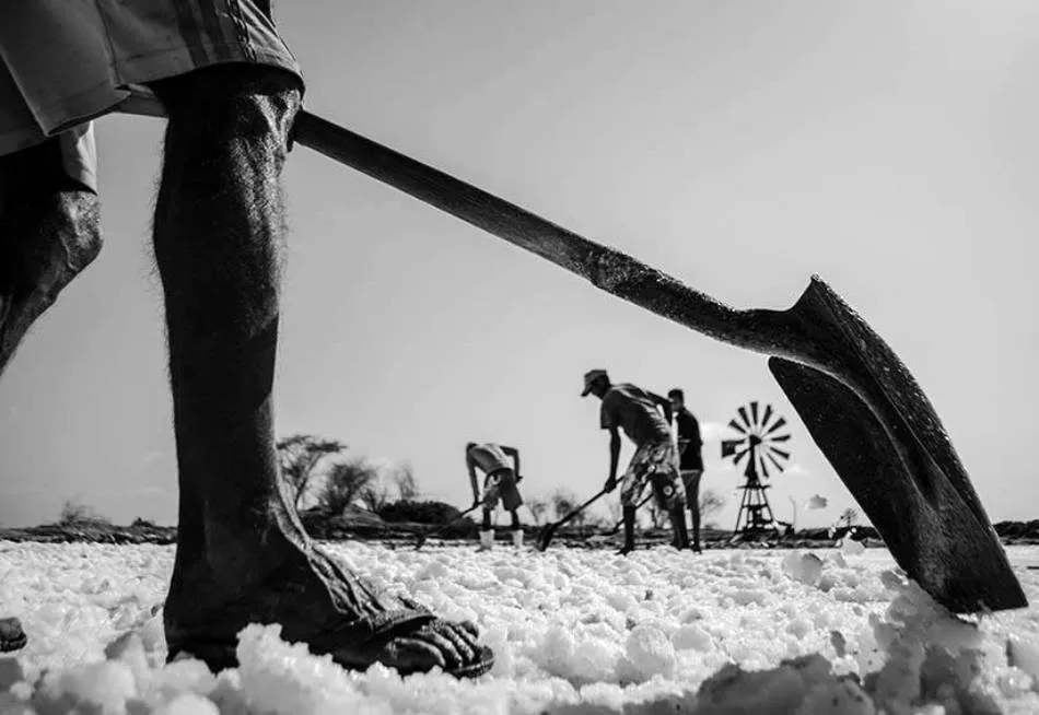 Foto 7 - Fotograf&iacute;a, poes&iacute;a y narrativa sobre el Sert&atilde;o brasile&ntilde;o en la Universidad de Salamanca