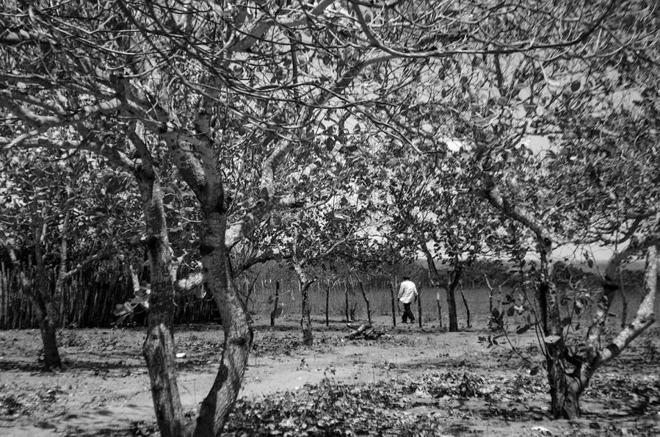 Foto 9 - Fotograf&iacute;a, poes&iacute;a y narrativa sobre el Sert&atilde;o brasile&ntilde;o en la Universidad de Salamanca