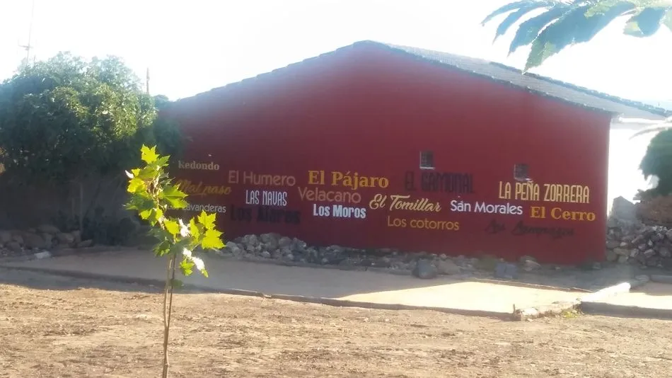 Foto 2 - Una pintura mural embellece el espacio de ocio del 'Huerto del Cura'  