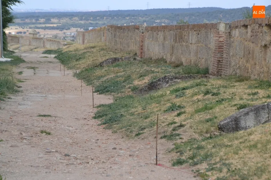 Foto 4 - La pr&oacute;xima semana se retomar&aacute;n las obras del adarve tras casi un mes sin actividad  