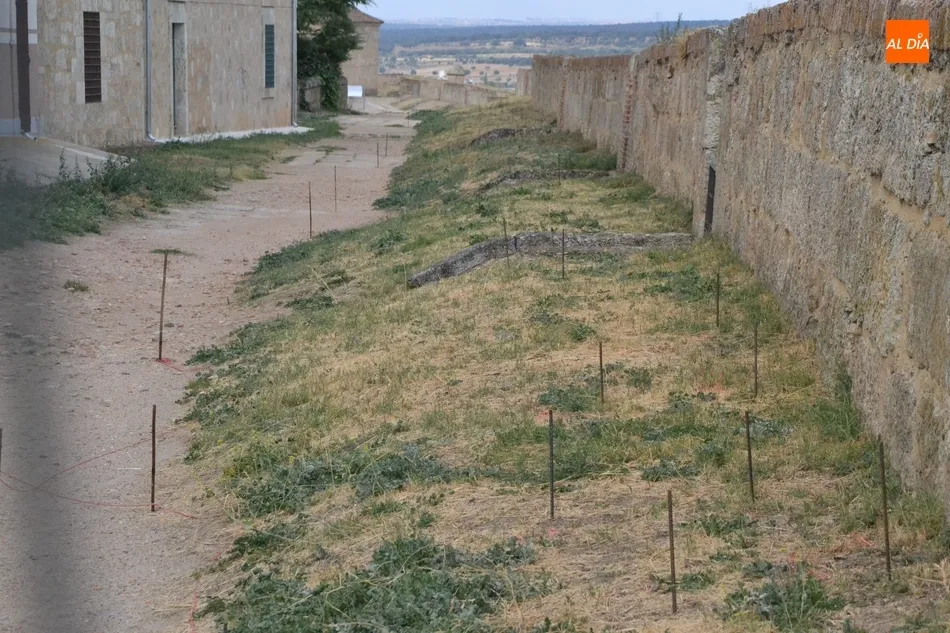 Foto 5 - La pr&oacute;xima semana se retomar&aacute;n las obras del adarve tras casi un mes sin actividad  