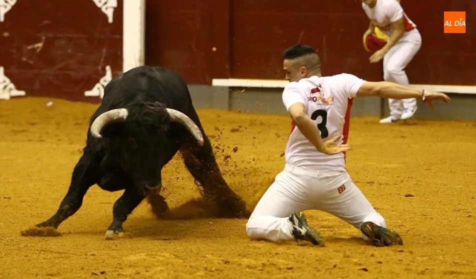 Use, actual campeón de España, pisará de nuevo el albero de la cubierta de Alba