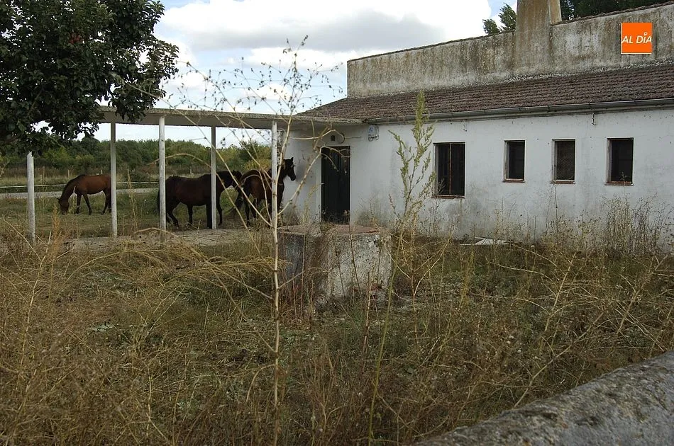 Las antiguas escuelas son compartidas entre animales y personas/Foto:Adrián Martín