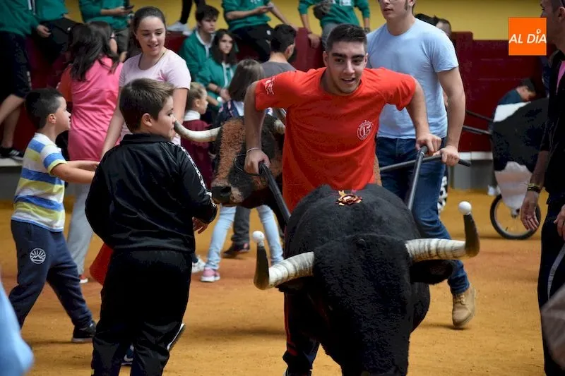 Foto 5 - Los m&aacute;s peque&ntilde;os disfrutan de su particular toro del caj&oacute;n