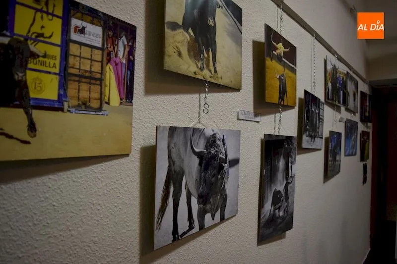 Foto 5 - Cincuenta fotograf&iacute;as componen la muestra &lsquo;La esencia del festejo popular&rsquo;