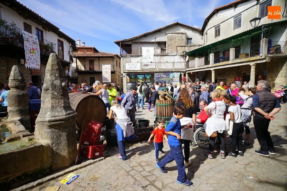 Foto 11 - Nuevo &eacute;xito de p&uacute;blico en la Fiesta de la Vendimia en San Mart&iacute;n del Casta&ntilde;ar
