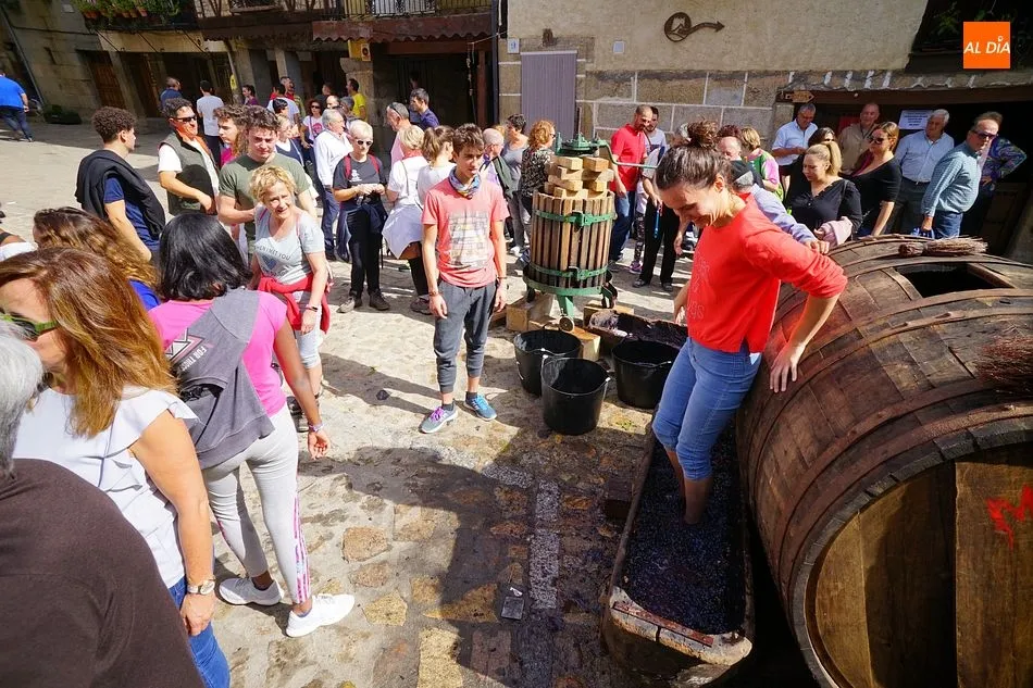 Foto 3 - Nuevo &eacute;xito de p&uacute;blico en la Fiesta de la Vendimia en San Mart&iacute;n del Casta&ntilde;ar