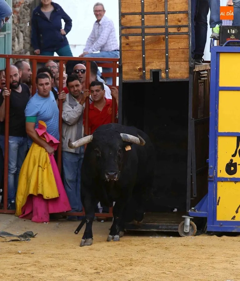 Foto 8 - Ga&ntilde;anito y Liebrito, un antes y un despu&eacute;s