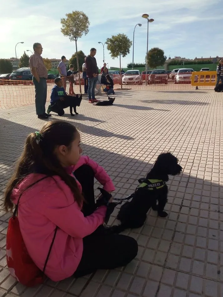 Foto 3 - &Eacute;xito de participaci&oacute;n en la tercera jornada del II Curso de Educaci&oacute;n Canina  