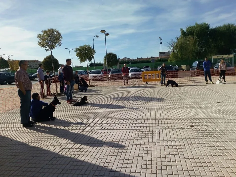 Foto 2 - &Eacute;xito de participaci&oacute;n en la tercera jornada del II Curso de Educaci&oacute;n Canina  