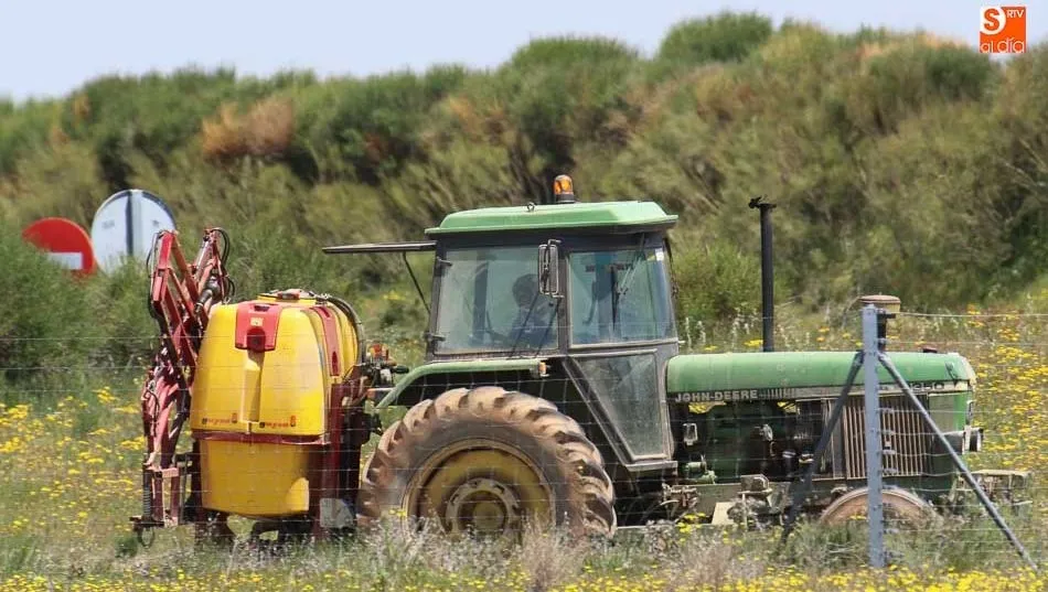 Los agricultores recibirán a partir de este martes el primer anticipo de la PAC. Foto: Alberto Martín