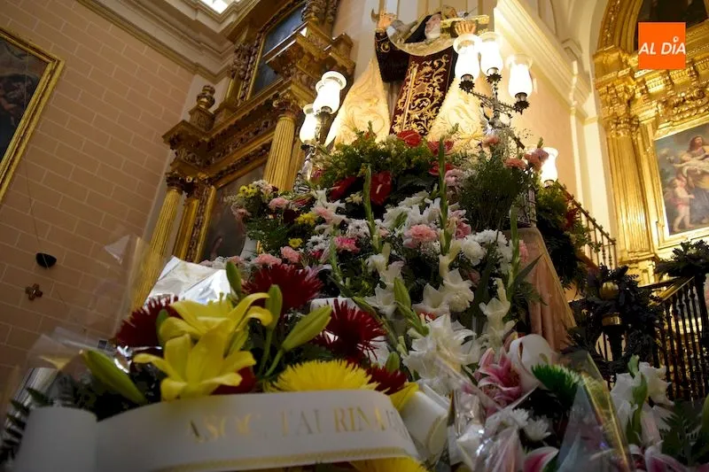 Foto 7 - Flores para Teresa