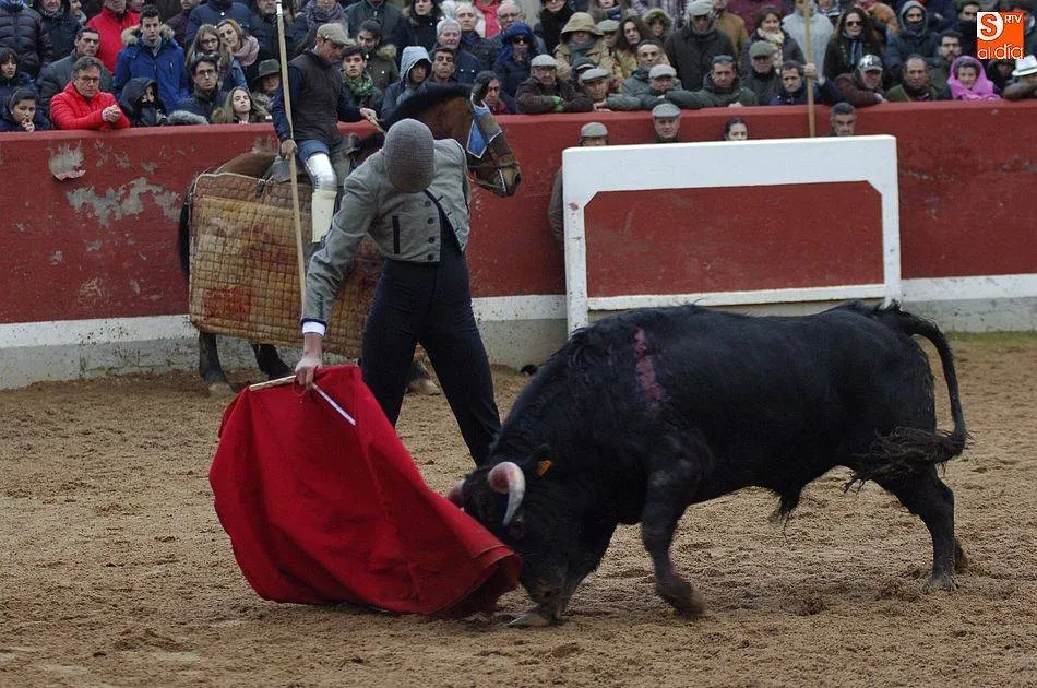 El Bolsín revela las ganaderías de su temporada 2019, cuya final volverá a contar con novillos  