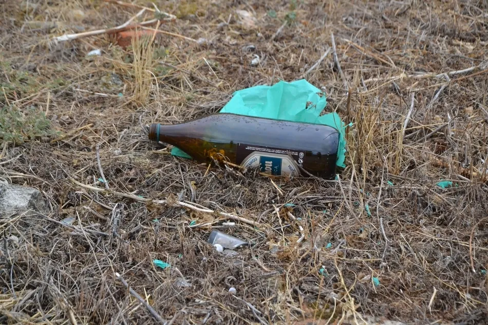 1Foto: El paseo de las cervezas y los refrescos  