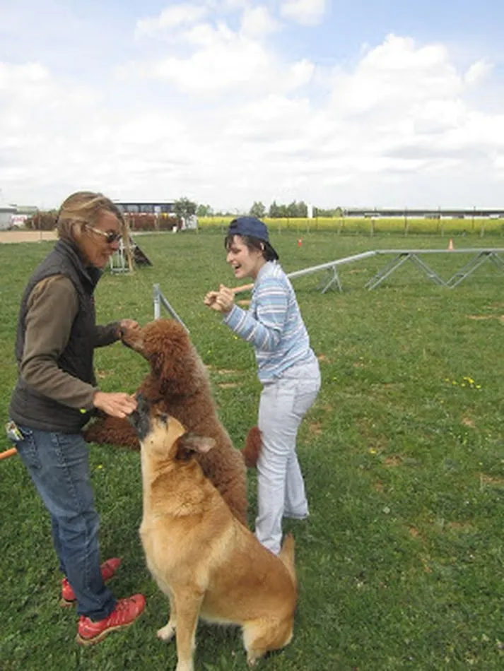 Foto 3 - Diecis&eacute;is j&oacute;venes de Aspace disfrutan de una jornada asistida con perros