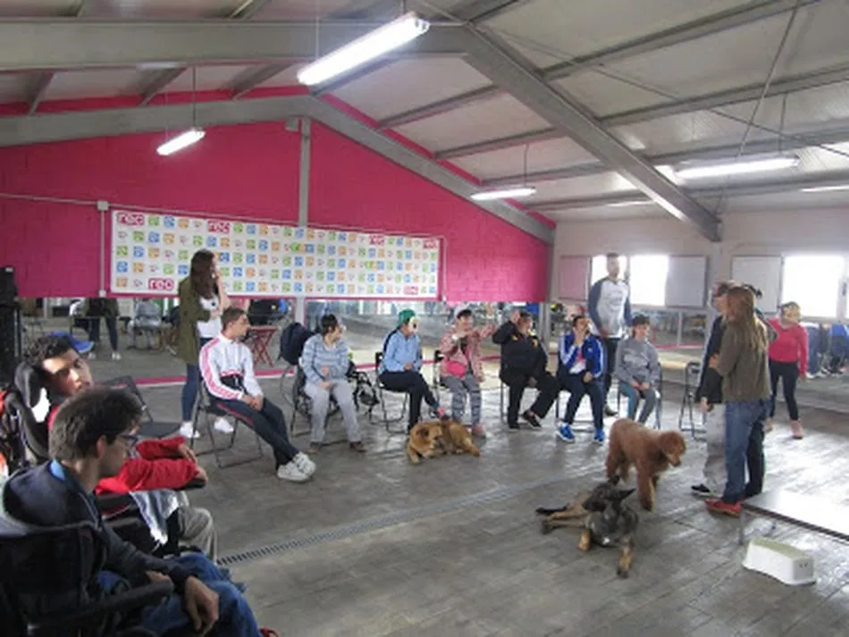 Foto 2 - Diecis&eacute;is j&oacute;venes de Aspace disfrutan de una jornada asistida con perros