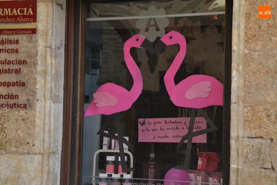 Foto 9 - El color rosa invade los escaparates de los comercios mirobrigenses  