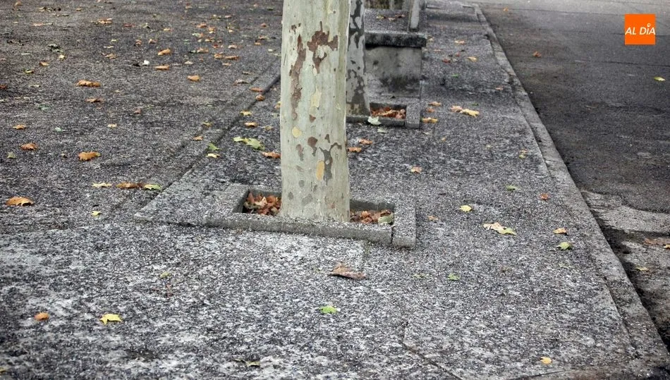 La lluvia y los excrementos convierten la acera de la plaza en un lugar de paso peligroso