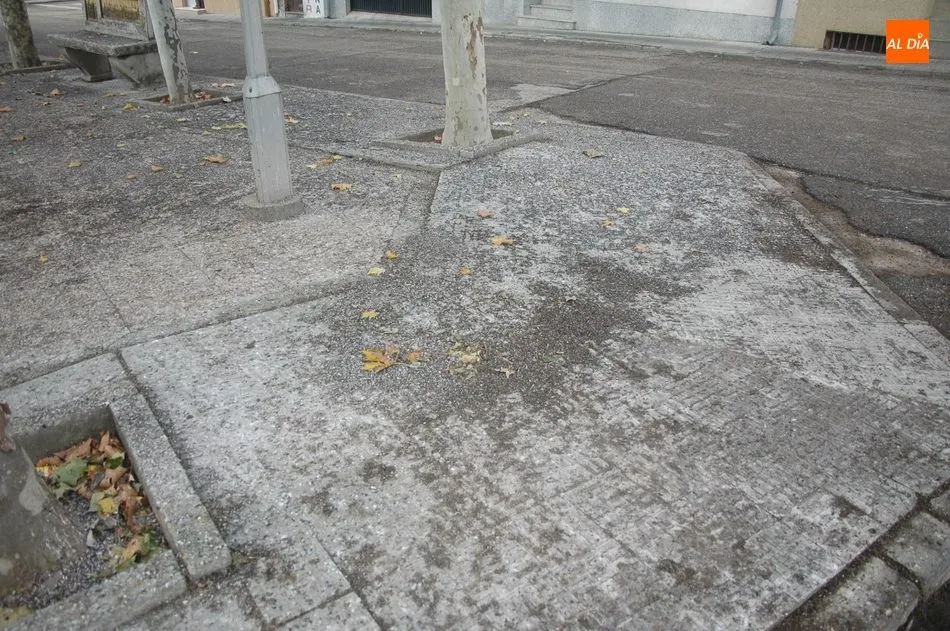 Foto 6 - Varios vecinos piden una soluci&oacute;n a la plaga de p&aacute;jaros que duermen en los &aacute;rboles de la plaza...