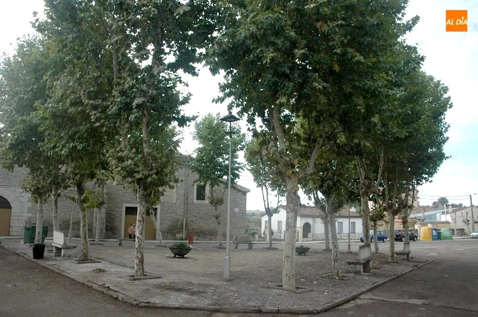 Foto 2 - Varios vecinos piden una soluci&oacute;n a la plaga de p&aacute;jaros que duermen en los &aacute;rboles de la plaza...