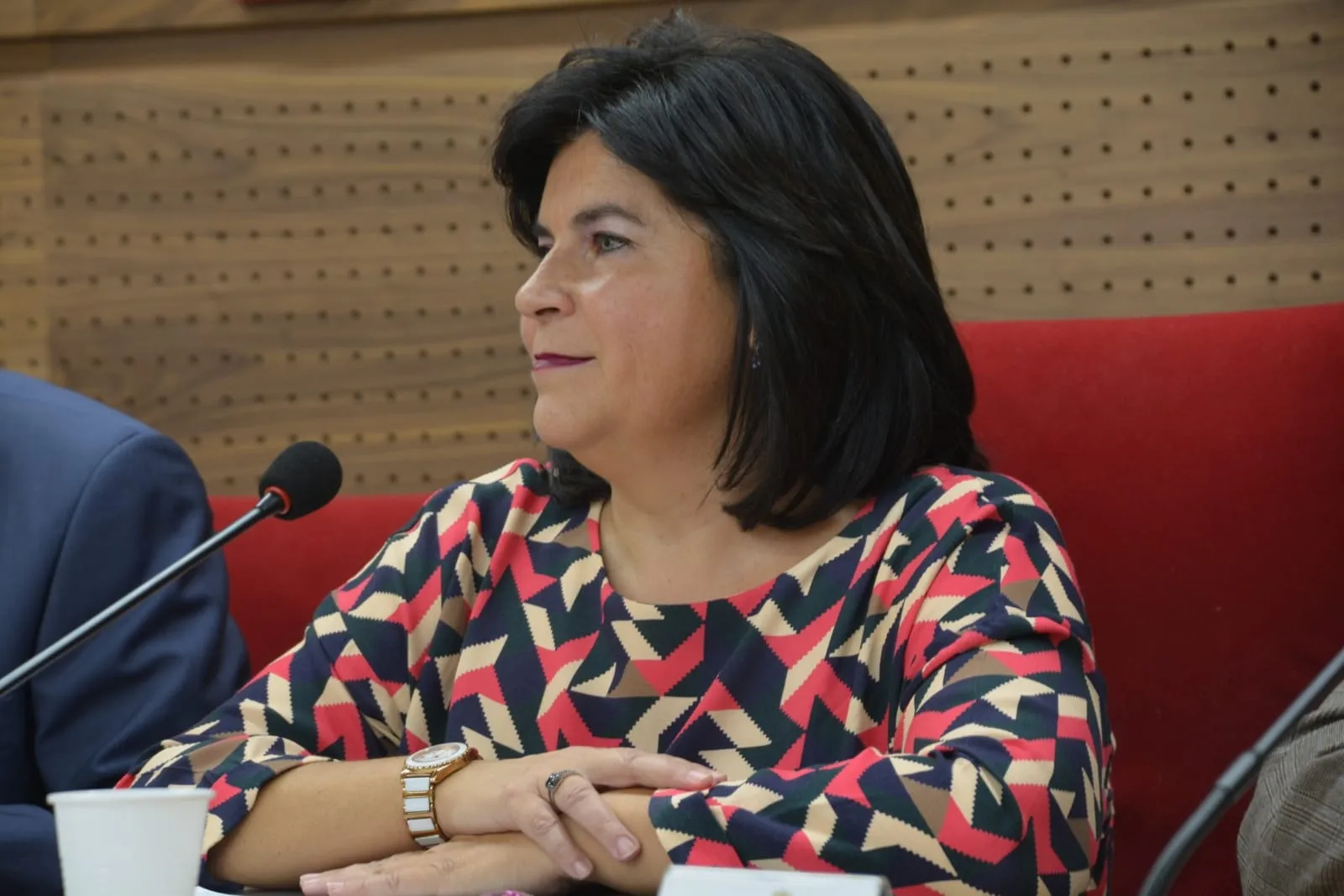 Foto 5 - Jornada sobre abogac&iacute;a Pro bono y Cl&iacute;nicas Jur&iacute;dicas en la Facultad de Derecho