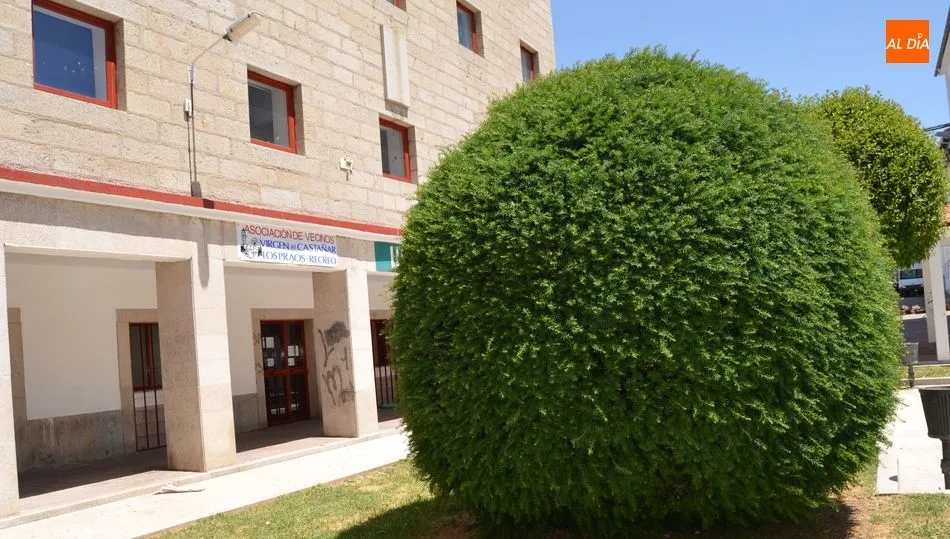 Sede de la asociación de vecinos Virgen del Castañar (CEIP)