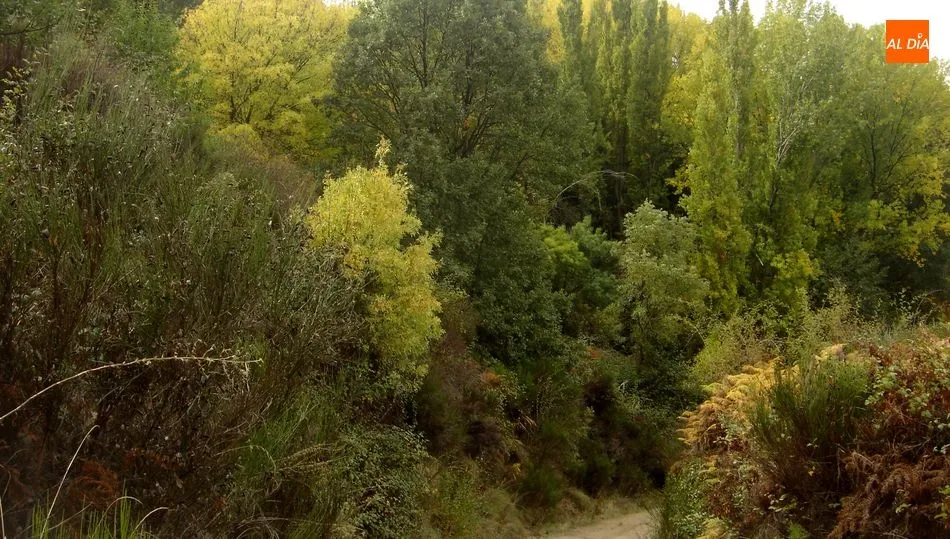 Ruta de senderismo por los alrededores de Béjar