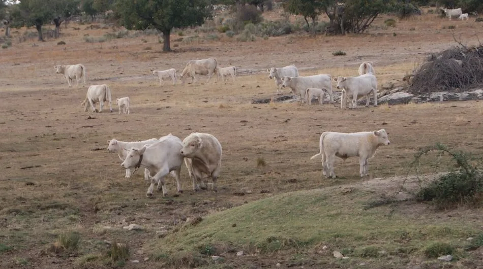 Foto 7 - Alumnos de Ciclos Formativos del IES Venancio Blanco y del IES Quercus comparten experiencias en...