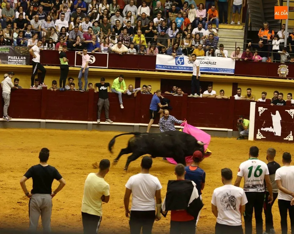 Foto 3 - Un indulto y tres conceptos en el cierre de la temporada  