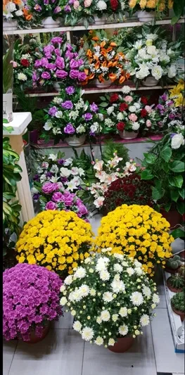 Foto 4 - Florister&iacute;a Pe&ntilde;aranda: sentimientos, mimo y flores para el d&iacute;a de Todos los Santos
