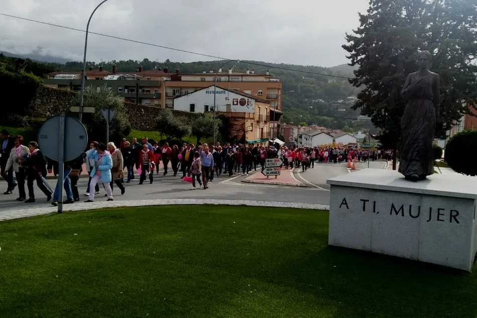 Foto 4 - En torno a&nbsp;1.300 personas salen a las calles de B&eacute;jar en la Marcha Rosa  