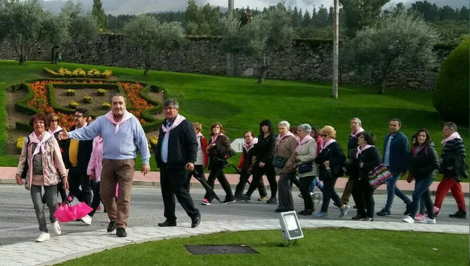 Foto 2 - En torno a&nbsp;1.300 personas salen a las calles de B&eacute;jar en la Marcha Rosa  