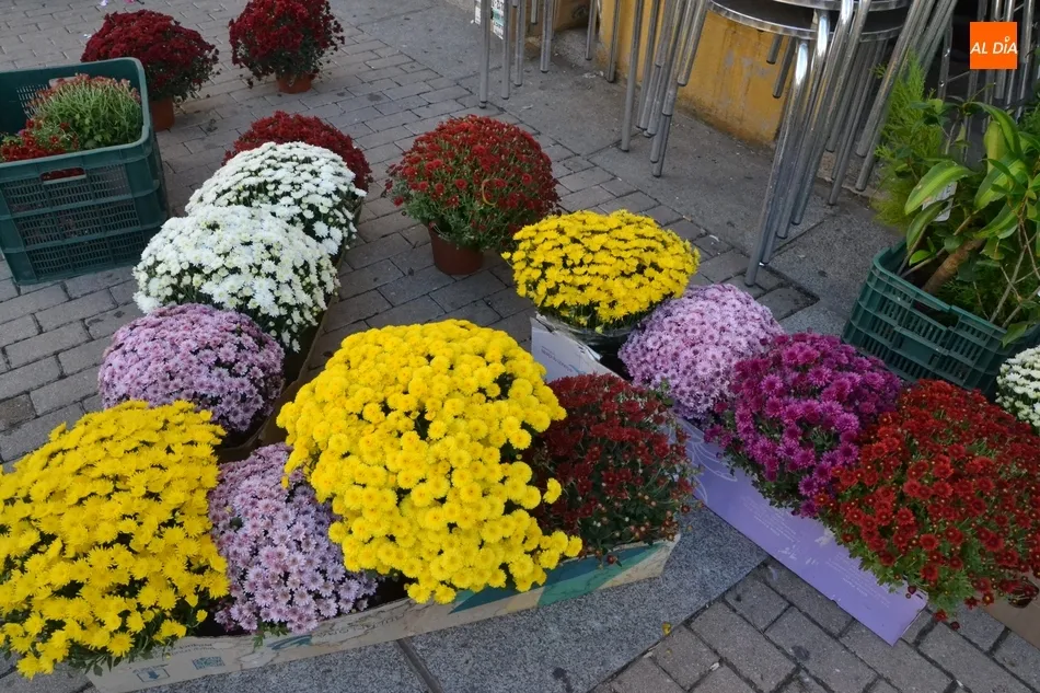 Las flores ganan espacio en el Mercado de los Martes  
