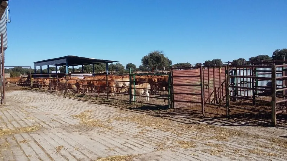 Ganemos propone que la Diputación promueva la formación e inserción laboral de los jóvenes en...