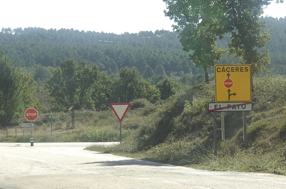 Foto 5 - Caos de tr&aacute;fico pesado en El Payo por el corte de la CL-526