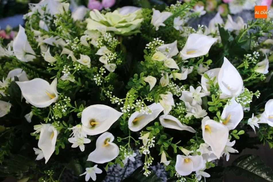 Foto 7 - Las flores ganan espacio en Anagon Tienda de Regalos