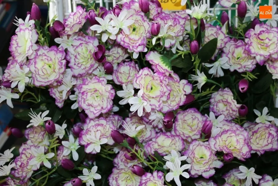 Foto 6 - Las flores ganan espacio en Anagon Tienda de Regalos
