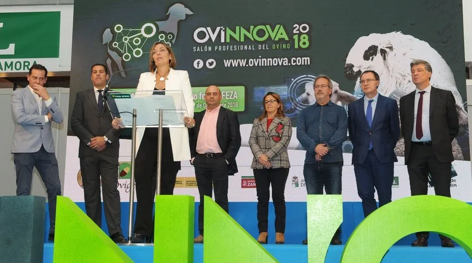 Foto 4 - El sector ovino en Castilla y Le&oacute;n genera un negocio de casi 1.000 millones y emplea a 11.500...
