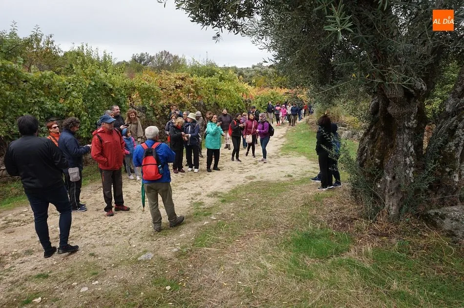 Foto 7 - El oto&ntilde;o m&aacute;s lluvioso recibe a los visitantes de la Ruta de los Lagares Rupestres