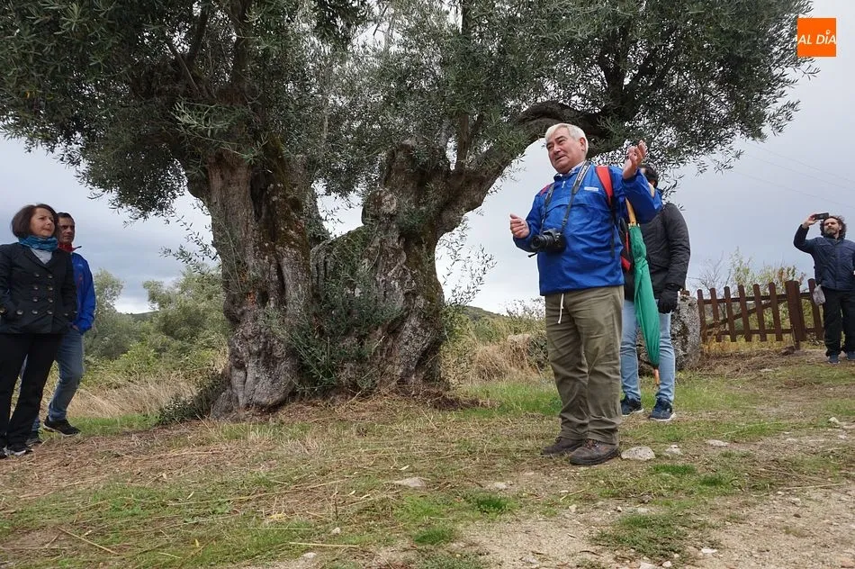 Foto 5 - El oto&ntilde;o m&aacute;s lluvioso recibe a los visitantes de la Ruta de los Lagares Rupestres
