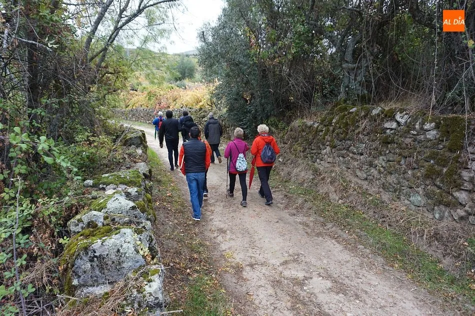 Foto 4 - El oto&ntilde;o m&aacute;s lluvioso recibe a los visitantes de la Ruta de los Lagares Rupestres