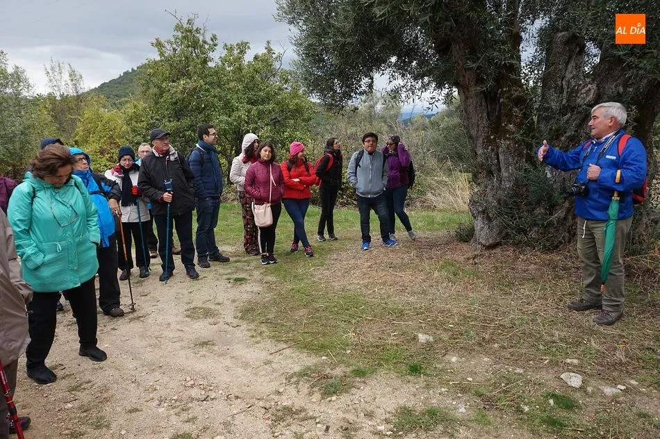 Foto 3 - El oto&ntilde;o m&aacute;s lluvioso recibe a los visitantes de la Ruta de los Lagares Rupestres