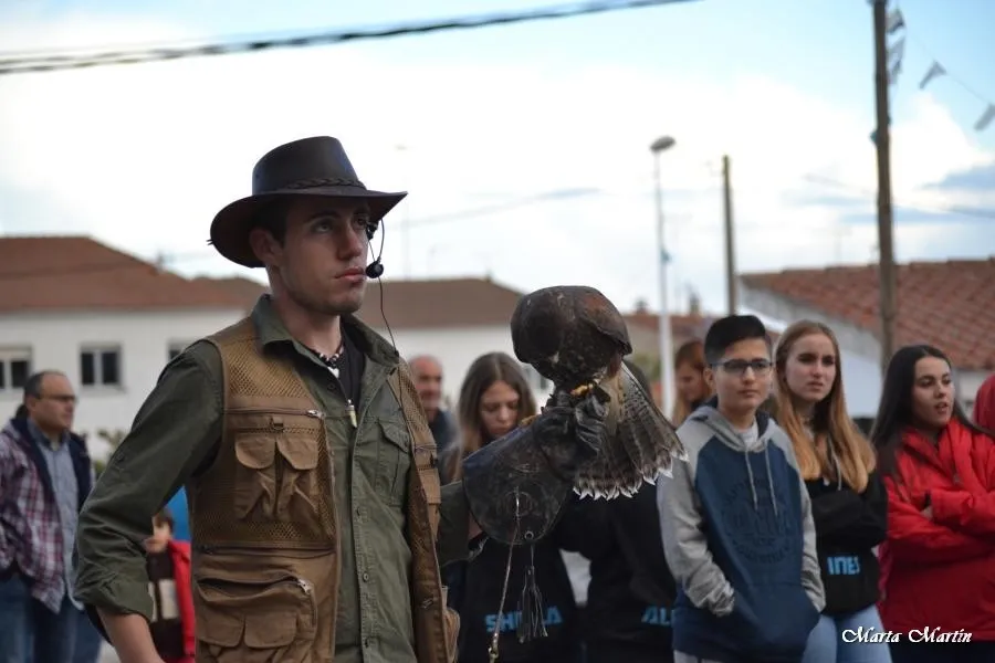 Un momento de la exhibición de cetrería | Fotos: Marta Martín
