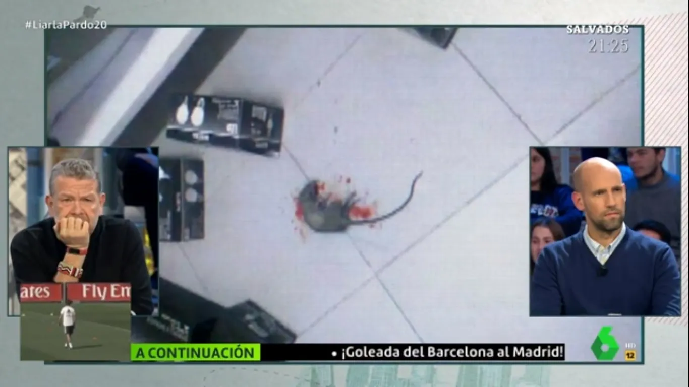 Un ratón aparece en el vídeo | La Sexta