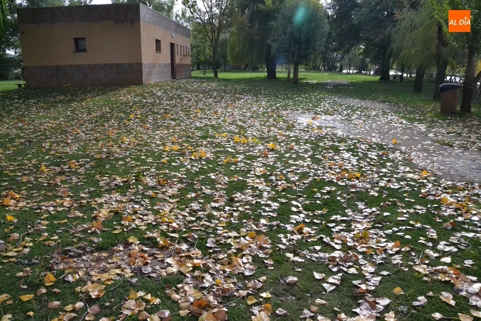 1Foto: Un paseo otoñal por la Alameda Vieja y El Picón  