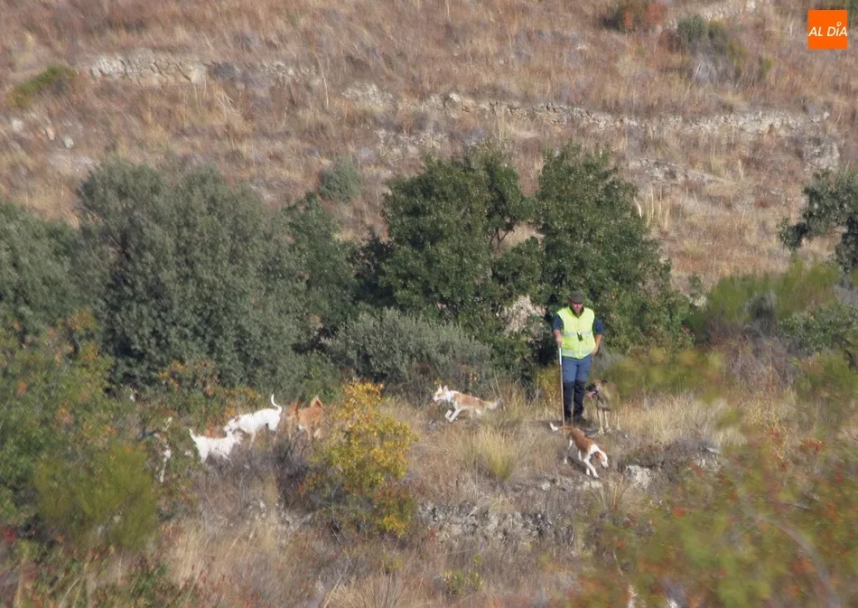 Foto 5 - Tras el jabal&iacute; en compa&ntilde;&iacute;a de amigos  