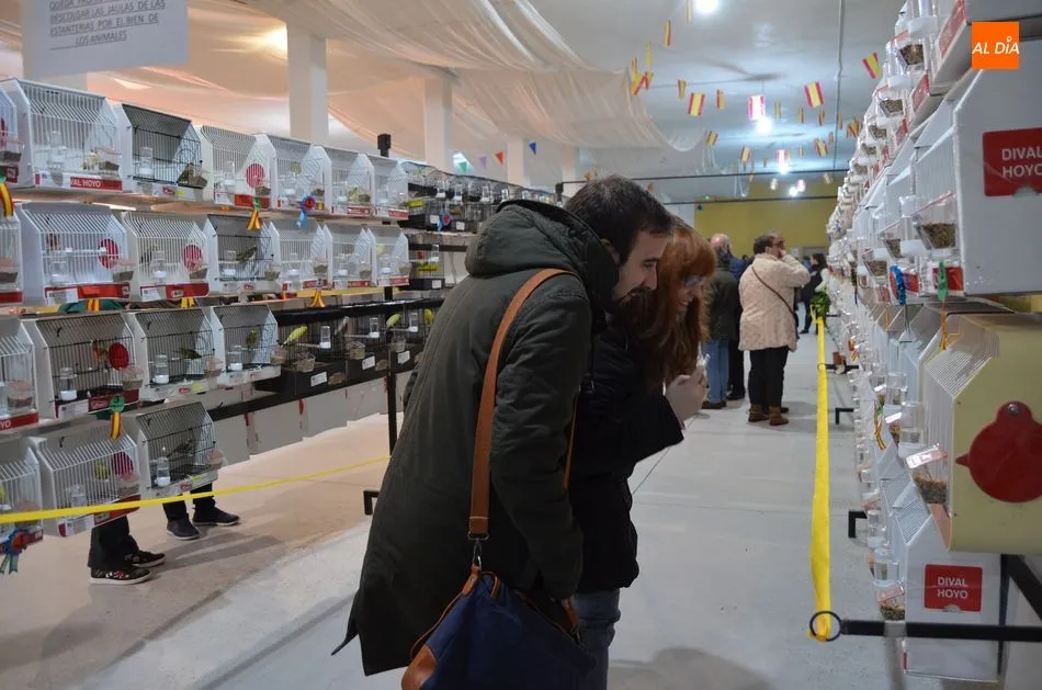 Foto 9 - Unos 800 canarios de 70 criadores compiten en el Campeonato de Castilla y Le&oacute;n  