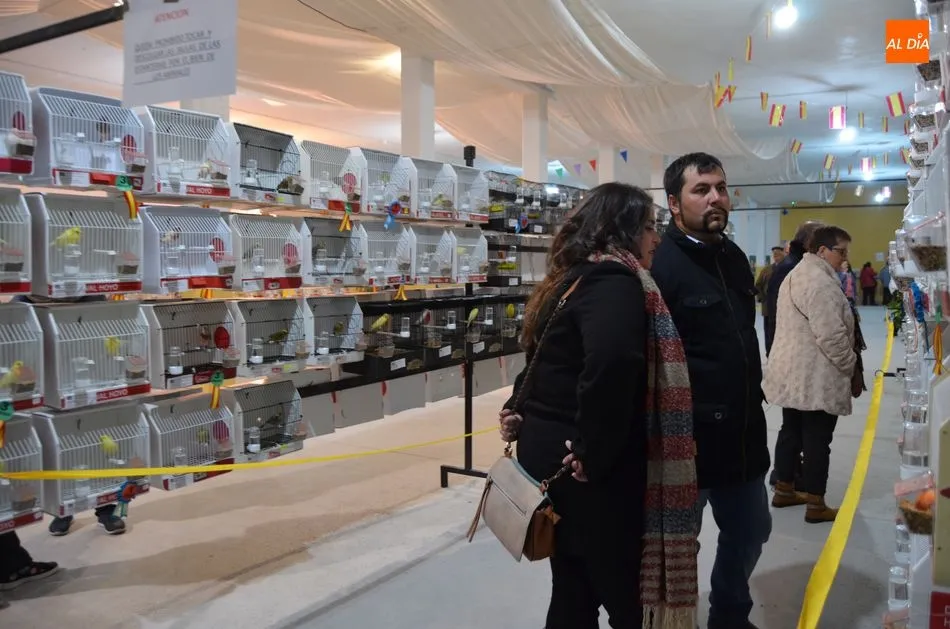 Foto 8 - Unos 800 canarios de 70 criadores compiten en el Campeonato de Castilla y Le&oacute;n  