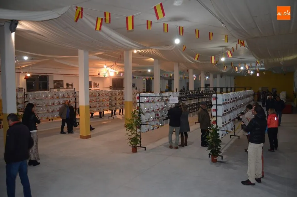 Foto 6 - Unos 800 canarios de 70 criadores compiten en el Campeonato de Castilla y Le&oacute;n  